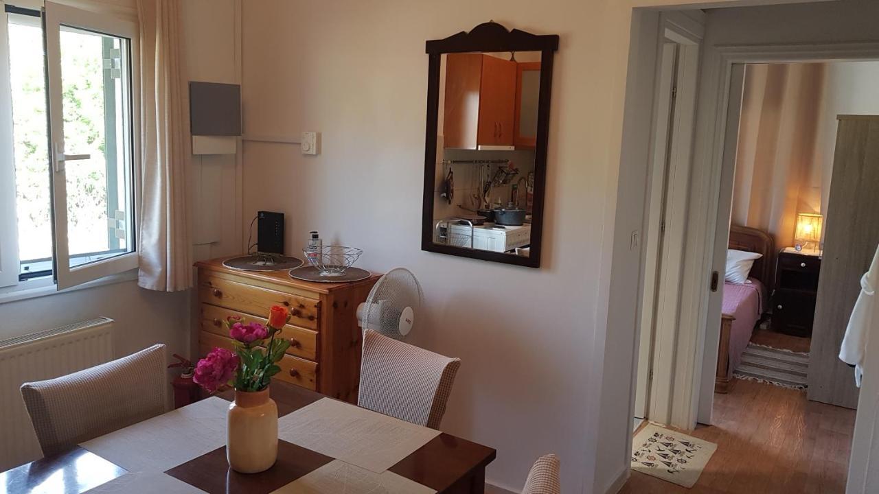 Olga'S Cozy Nest , Apartment In Ano Korakiana. Pokoj fotografie