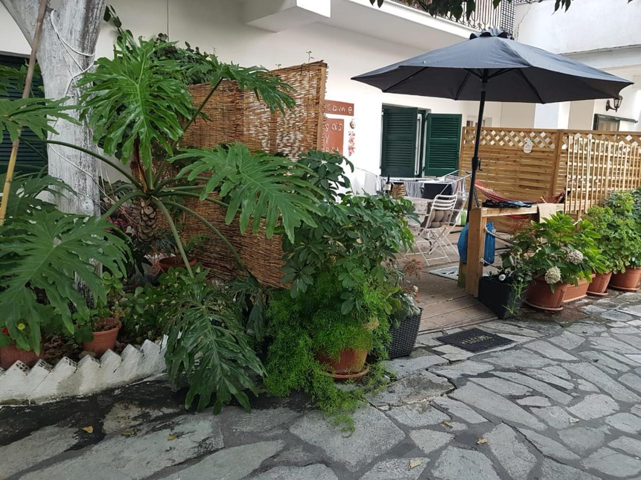 Olga'S Cozy Nest , Apartment In Ano Korakiana. Exteriér fotografie